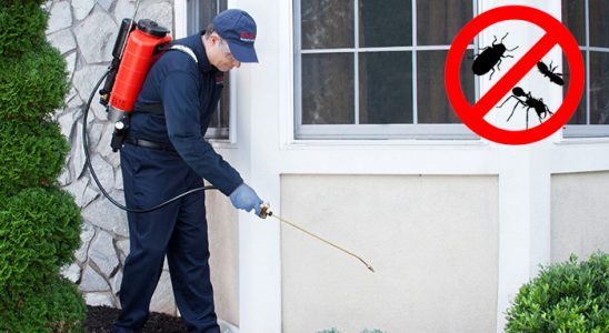 Beşikdüzü Böcek İlaçlama böcek ilaçlama ve haşere kontrolü — ilaclama-tr.com